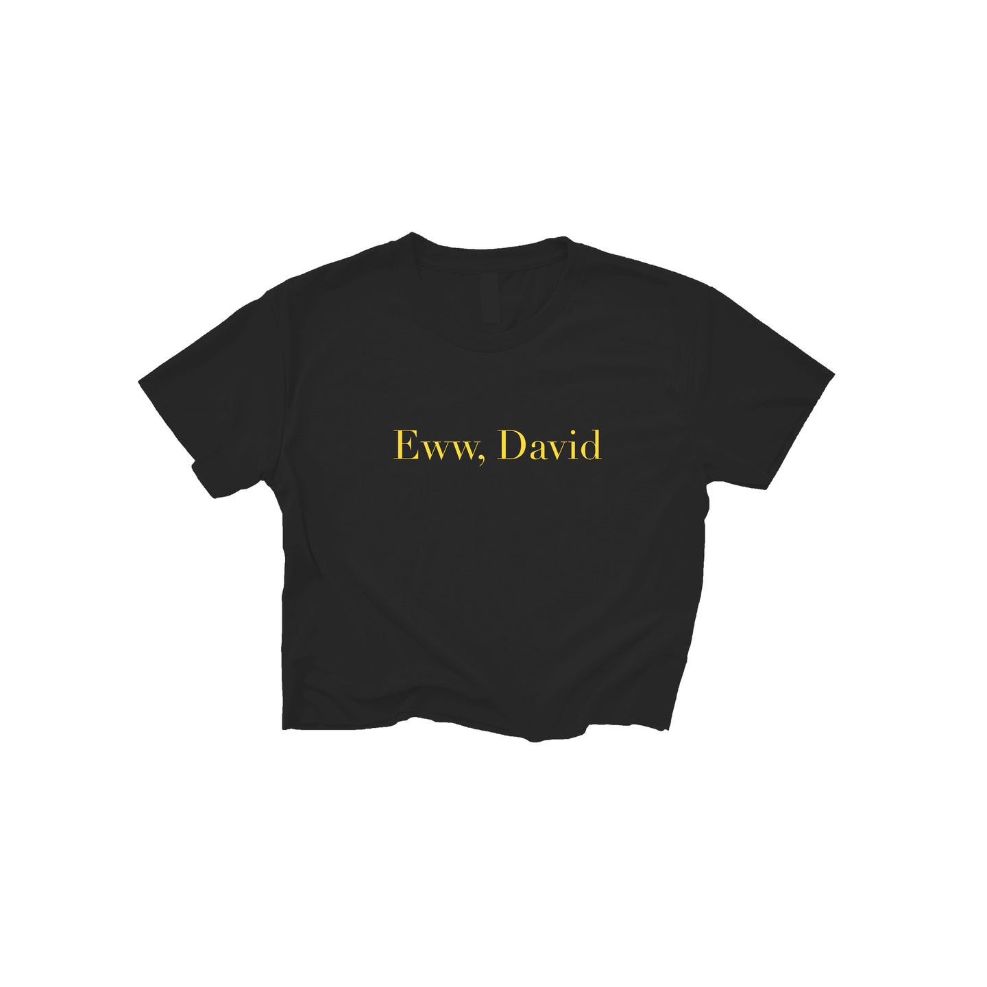 Eww David Minimal Crop Top