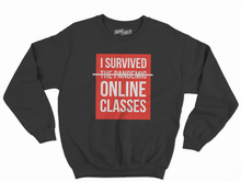 Load image into Gallery viewer, I Survived The Pandemic Sweatshirt
