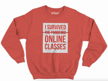 Load image into Gallery viewer, I Survived The Pandemic Sweatshirt
